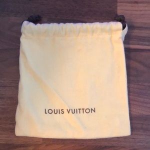 Louis Vuitton belt bag